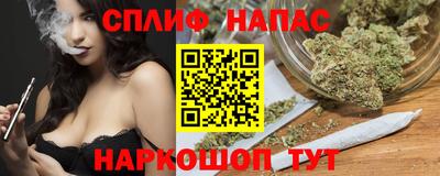 крисы Кингисепп