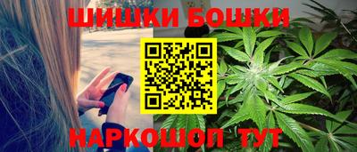 крисы Кингисепп