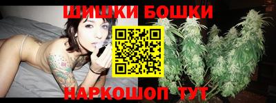 крисы Кингисепп