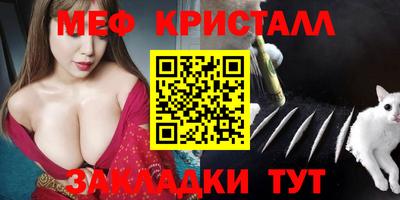 крисы Кингисепп