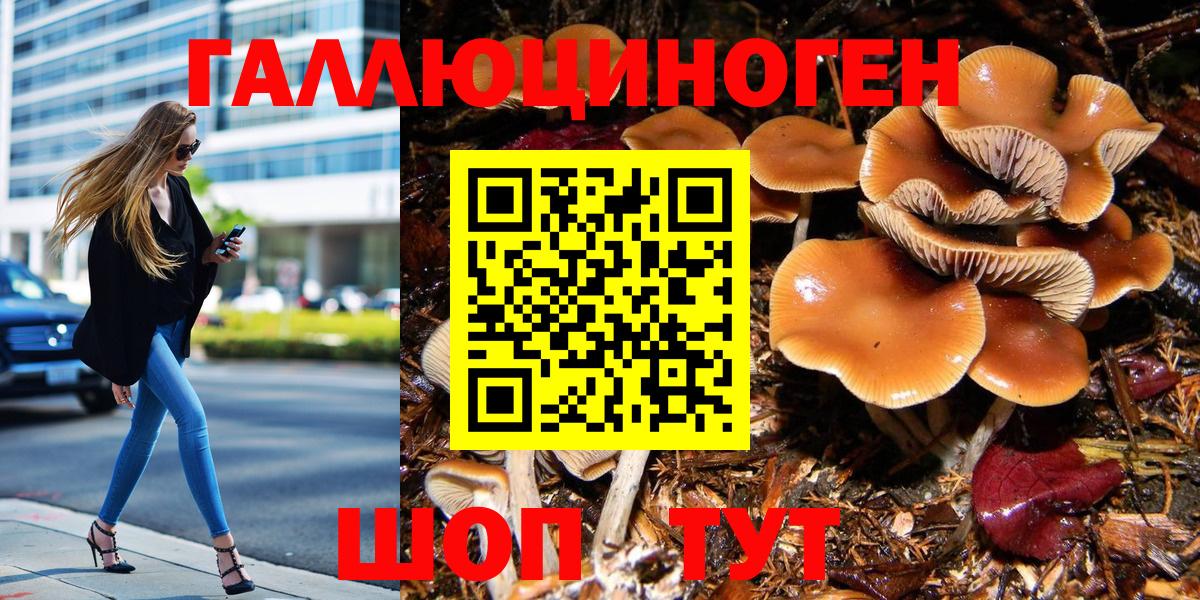 Клинцы  Псилоцибиновые грибы ЛСД  Галлюциногенные грибы Cubensis  Вход с VPN 